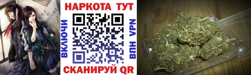 МЕФ Гатчина
