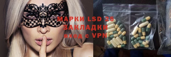 индика Каменка
