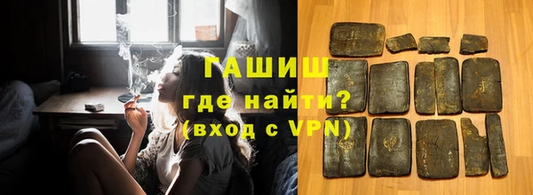 индика Каменка