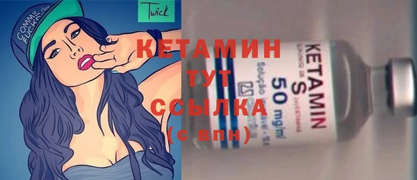 индика Каменка