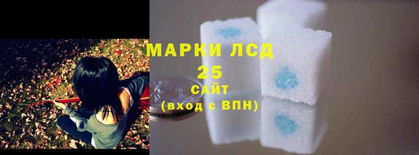 МДПВ Каменногорск