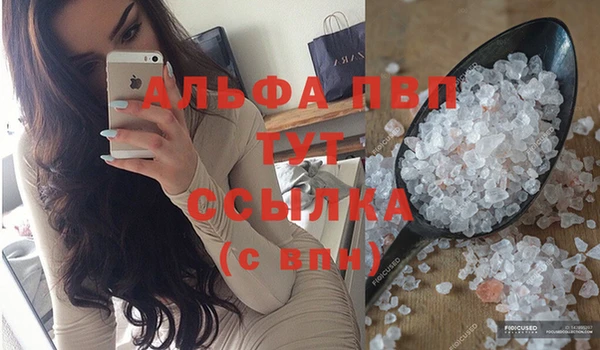 индика Каменка