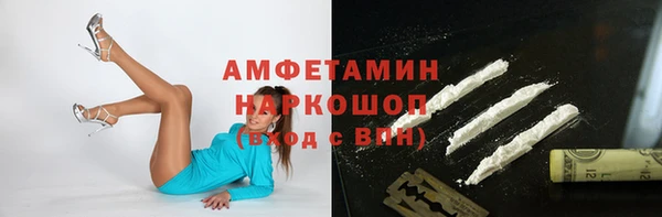 индика Каменка