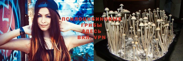 марихуана Инта