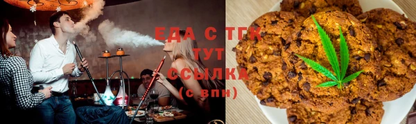 МДПВ Каменногорск