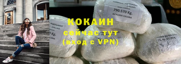 МДПВ Каменногорск