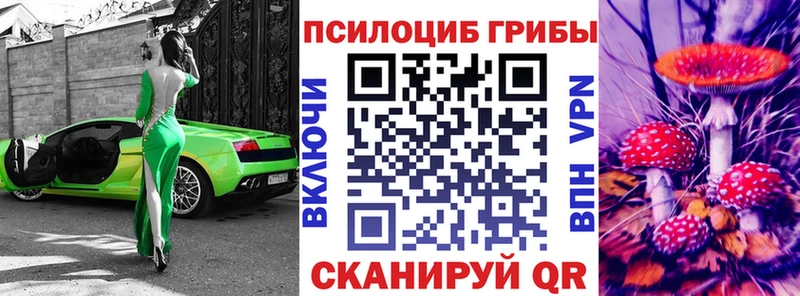 Псилоцибиновые грибы ЛСД  Купить закладки  Гатчина 