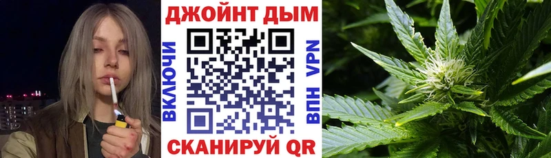 Купить  Гатчина  Бошки марихуана OG Kush 